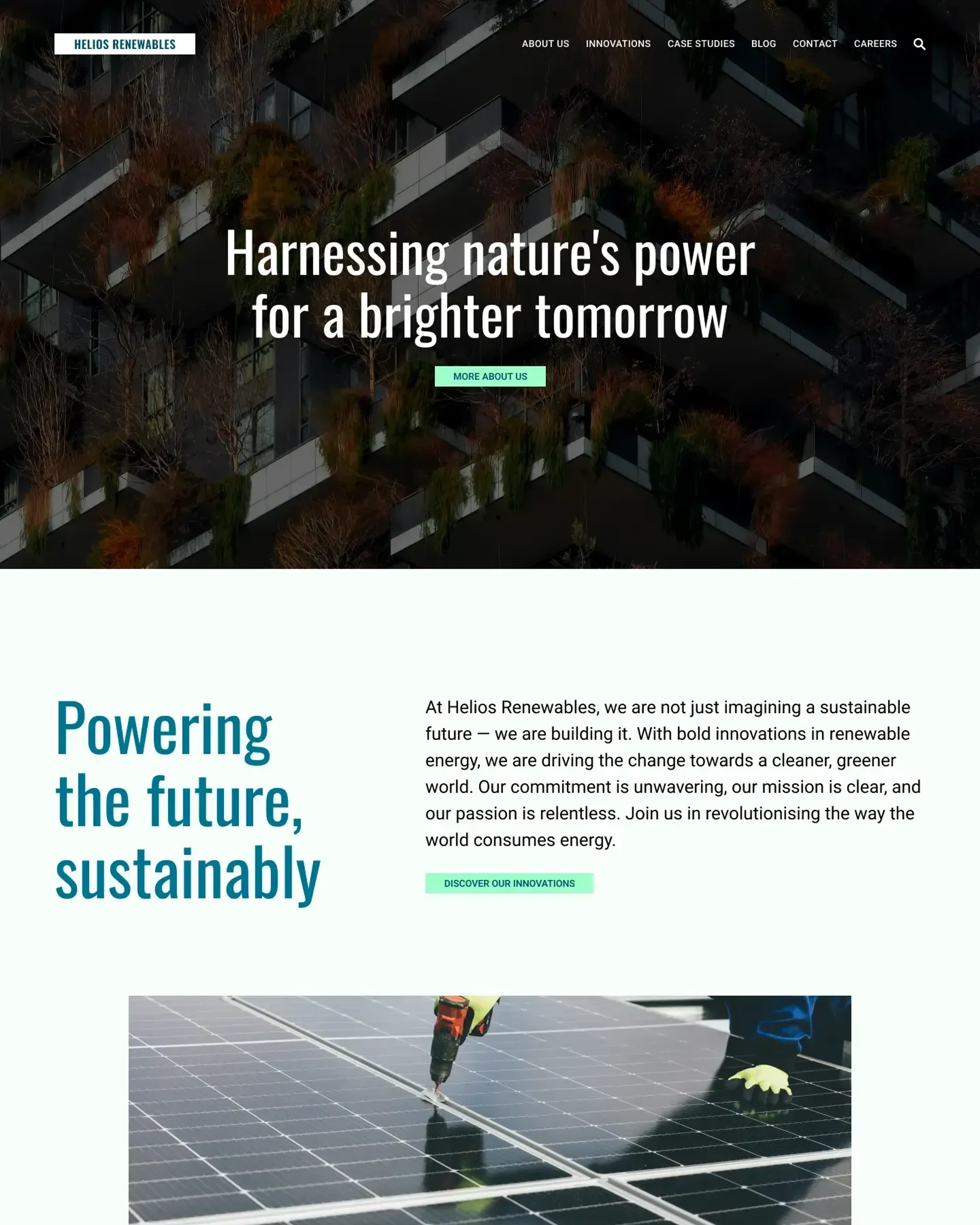 Renewable Energy 2